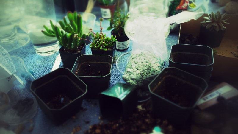 Micro-Garden Assembly Site